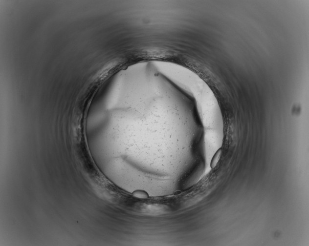 X0000101710360200808071229