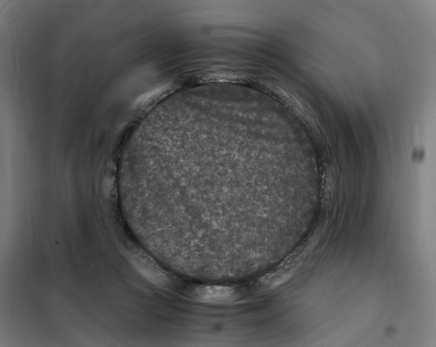 X0000101710361200808071229