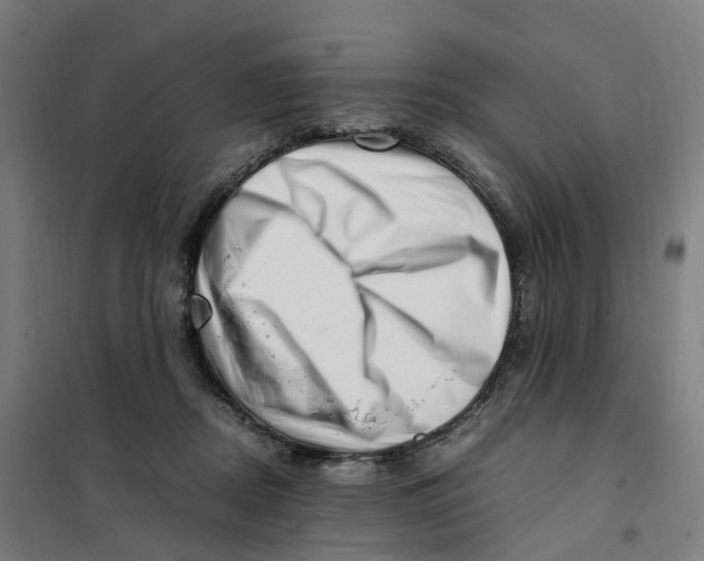 X0000101710362200808071229