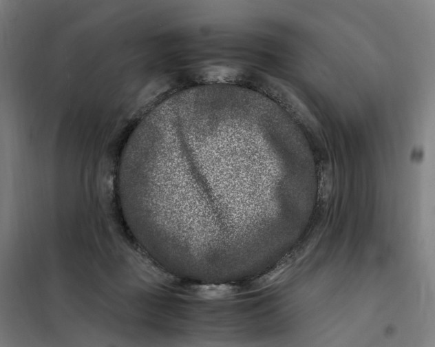 X0000101710363200808071229