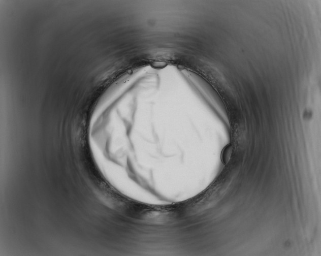 X0000101710364200808071229