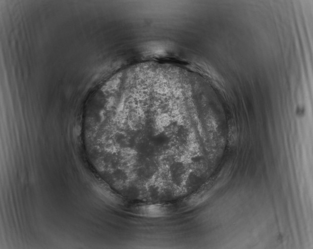 X0000101710365200808071229