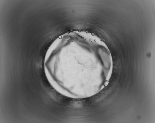 X0000101710368200808071229