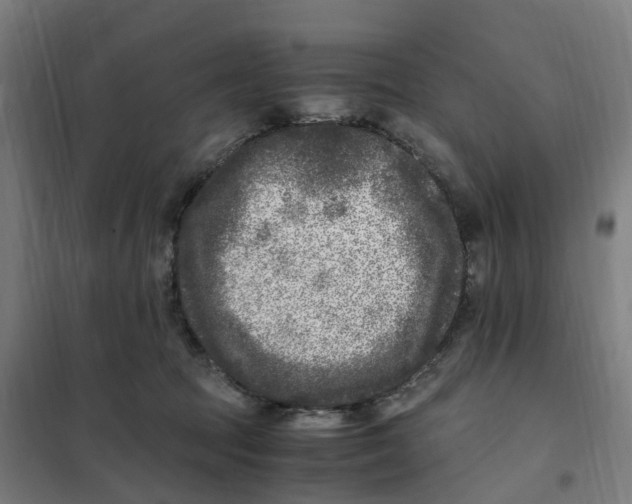 X0000101710369200808071229