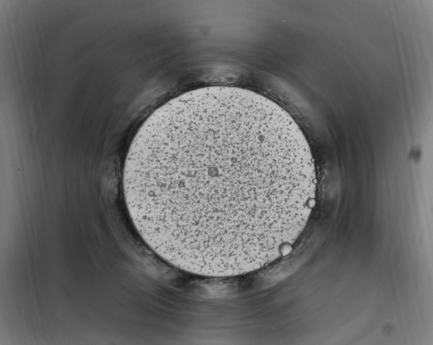 X0000101710370200808071229