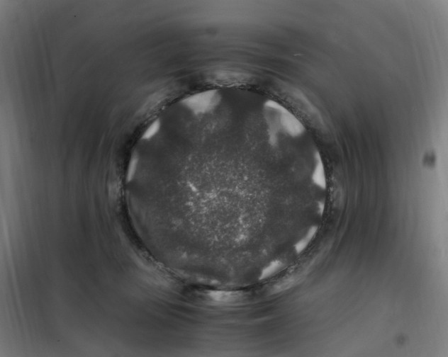 X0000101710371200808071229