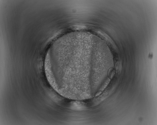 X0000101710372200808071229