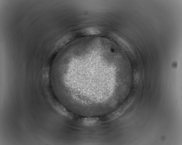 X0000101710373200808071229