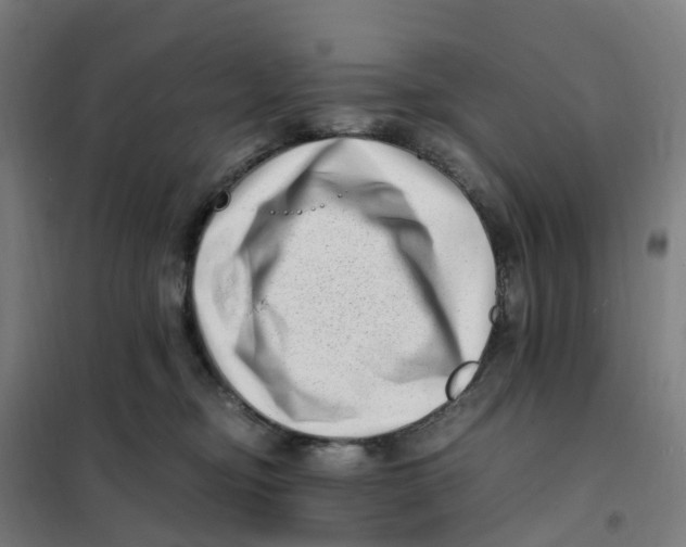 X0000101710374200808071229
