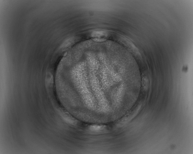 X0000101710375200808071229