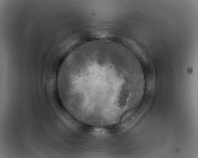 X0000101710376200808071229