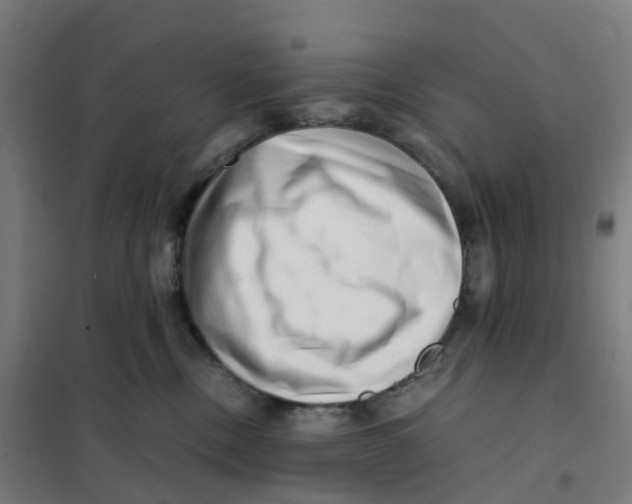 X0000101710378200808071229