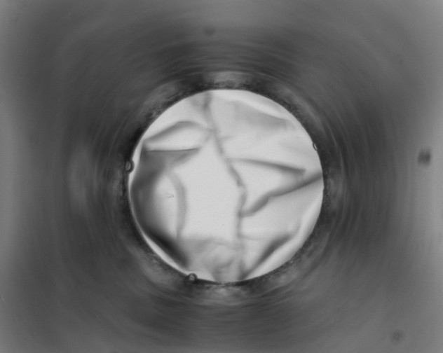 X0000101710379200808071229