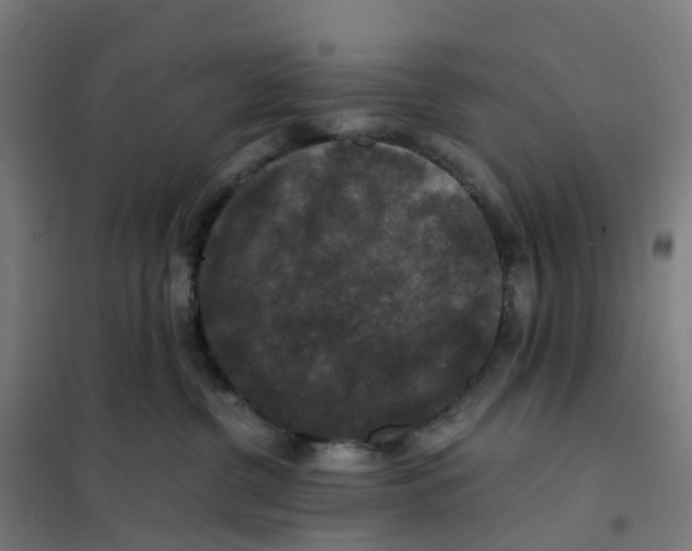 X0000101710380200808071229
