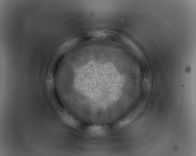 X0000101710381200808071229