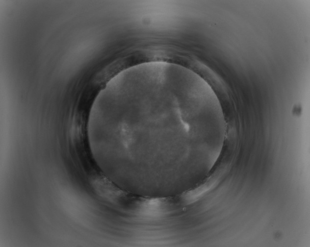 X0000101710382200808071229