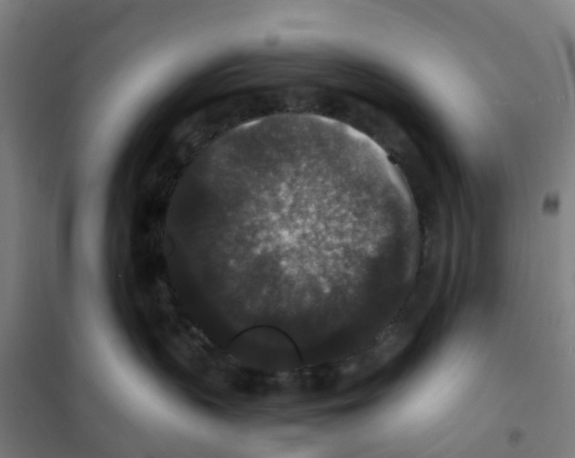 X0000101710383200808071229