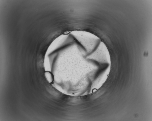 X0000101710384200808071229