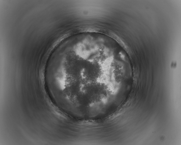 X0000101710386200808071228