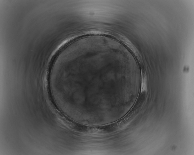 X0000101710387200808071228