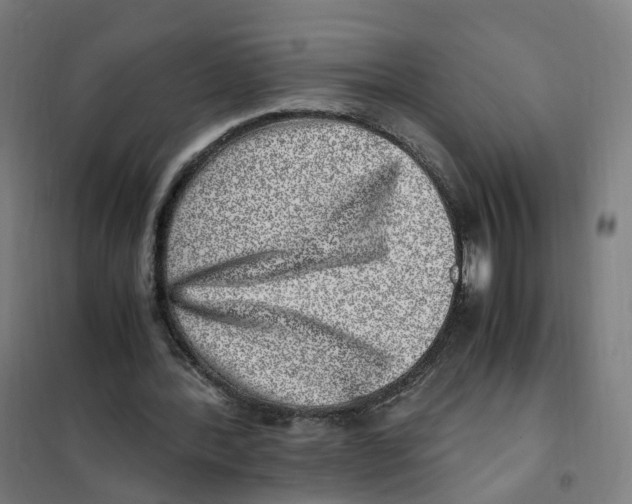 X0000101710388200808071228