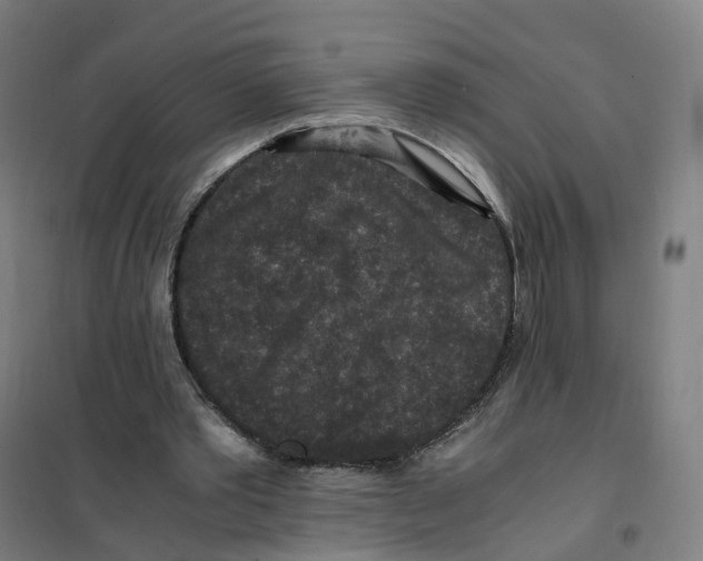 X0000101710389200808071228