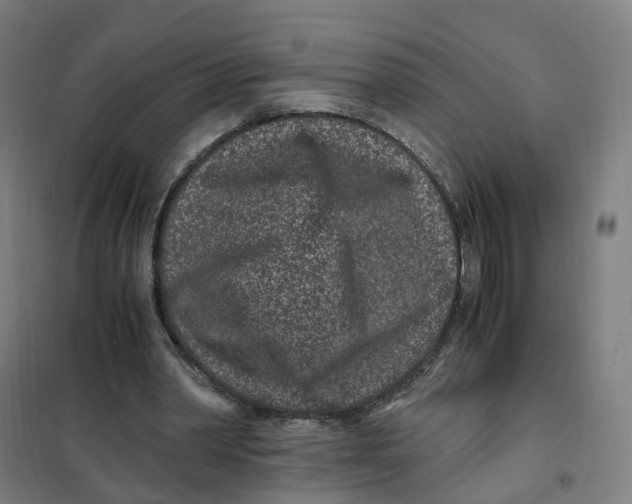X0000101710390200808071228