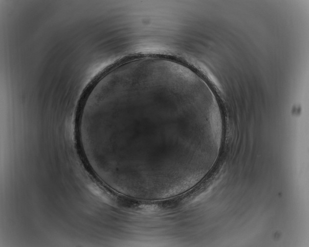 X0000101710391200808071228