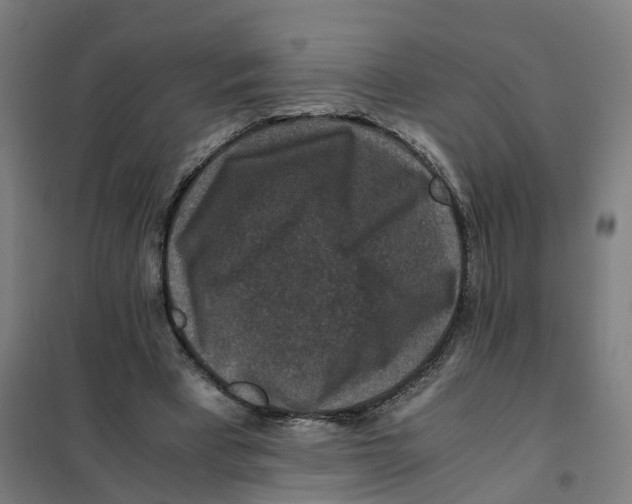 X0000101710393200808071228
