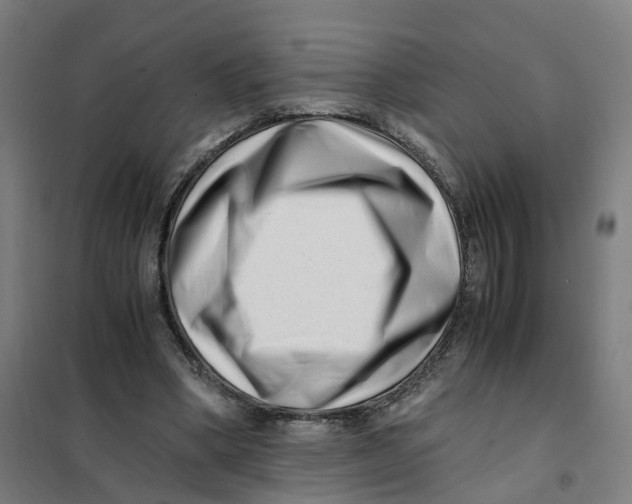 X0000101710394200808071228