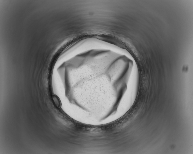 X0000101710395200808071228