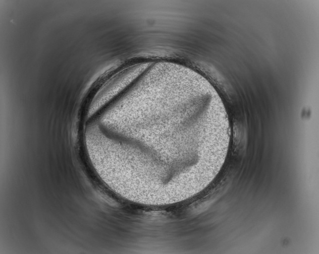 X0000101710396200808071228