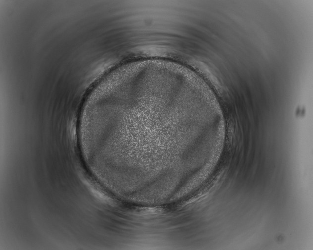 X0000101710398200808071228