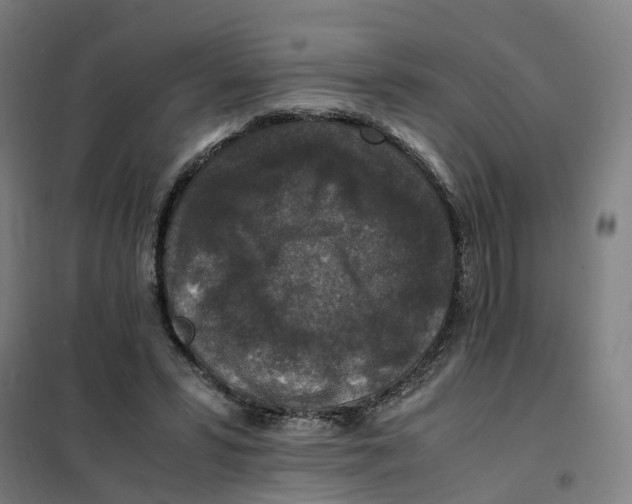 X0000101710399200808071228
