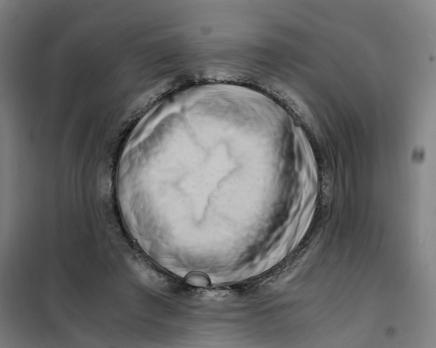 X0000101710401200808071228