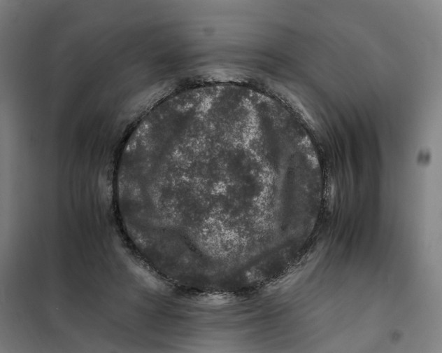 X0000101710402200808071228