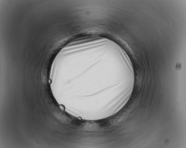 X0000101710403200808071228