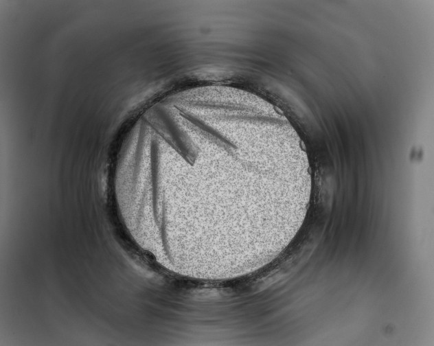 X0000101710404200808071228