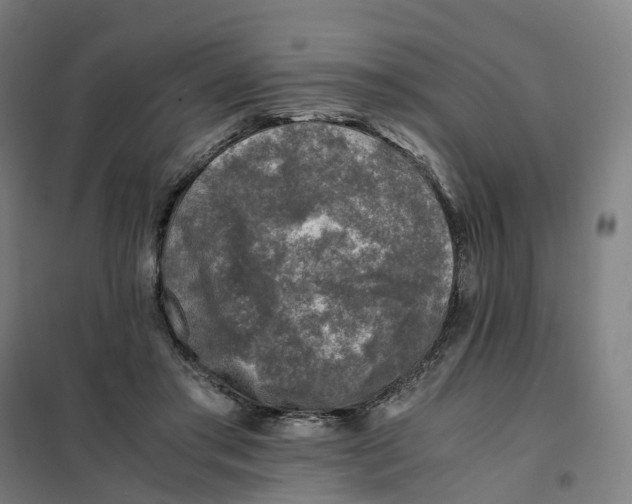 X0000101710405200808071228