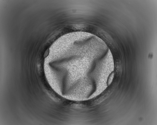 X0000101710408200808071228