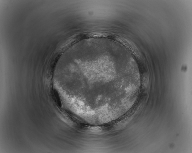 X0000101710409200808071228