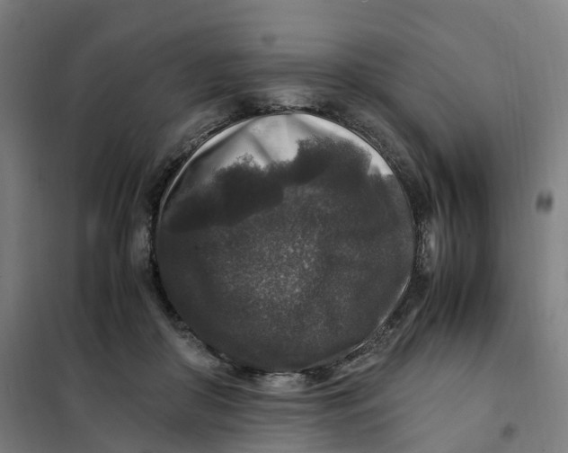 X0000101710410200808071228