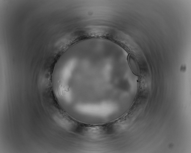 X0000101710411200808071228