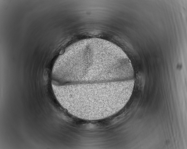 X0000101710412200808071228