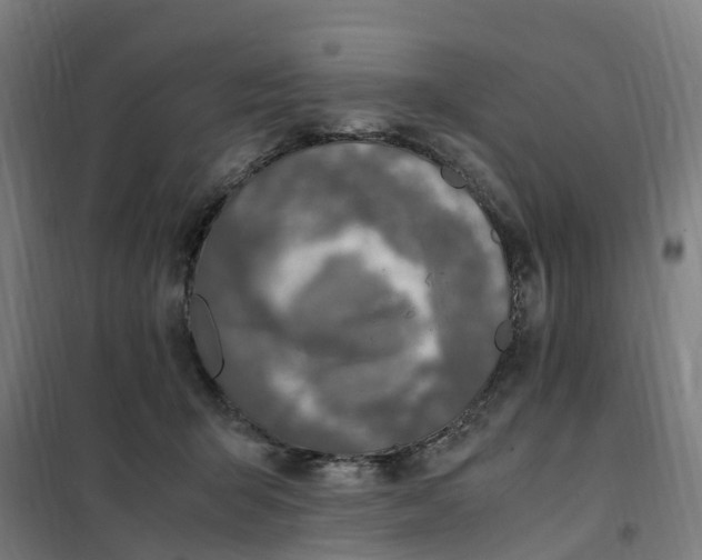 X0000101710415200808071228