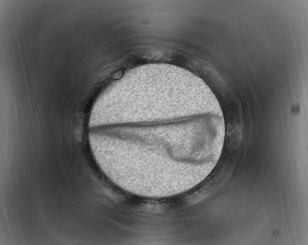 X0000101710416200808071228