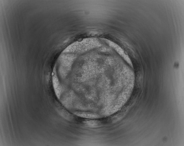 X0000101710417200808071228