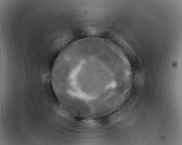 X0000101710419200808071228