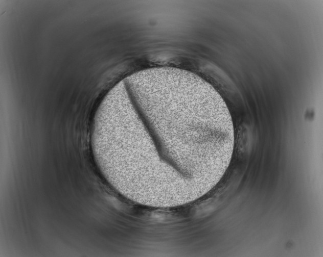 X0000101710420200808071228