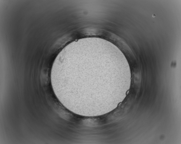 X0000101710422200808071228